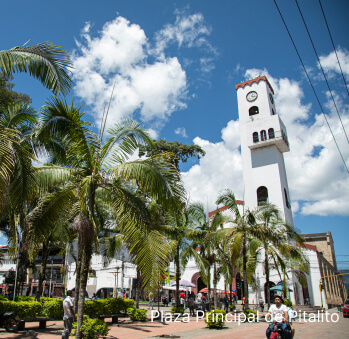 Imagen 10