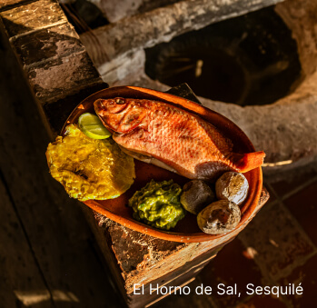 Imagen 12