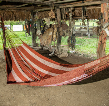 Imagen de artesania 1