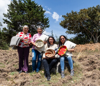 Imagen del artesano Asociación de artesanos de Guacamayas