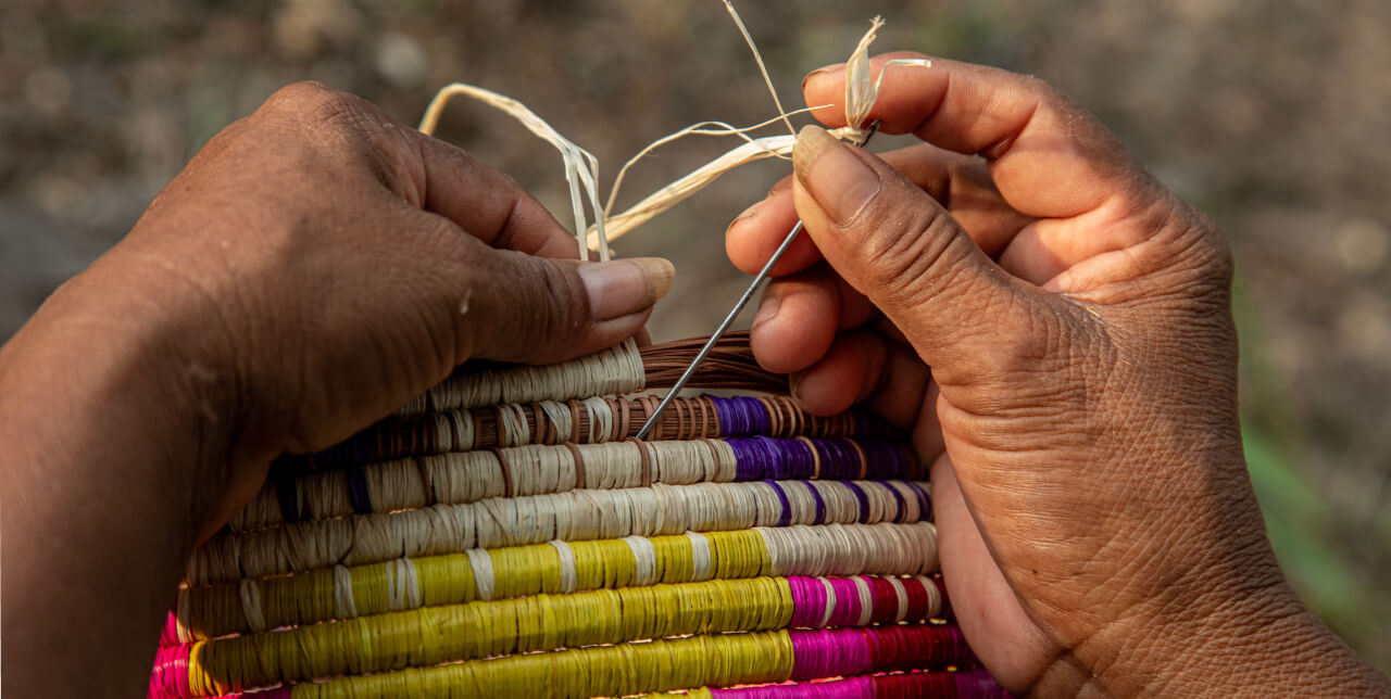 Imagen de Ruta Guainía