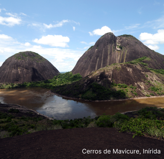 Imagen de ESTRELLA FLUVIAL DEL SUR Y CERROS DE MAVICURE