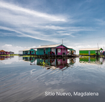 Imagen 6