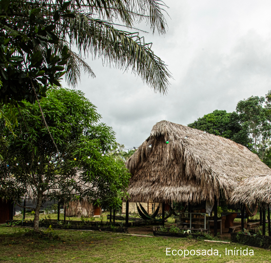 Imagen de INÍRIDA - SAN FELIPE (COMUNIDAD GALILEA)