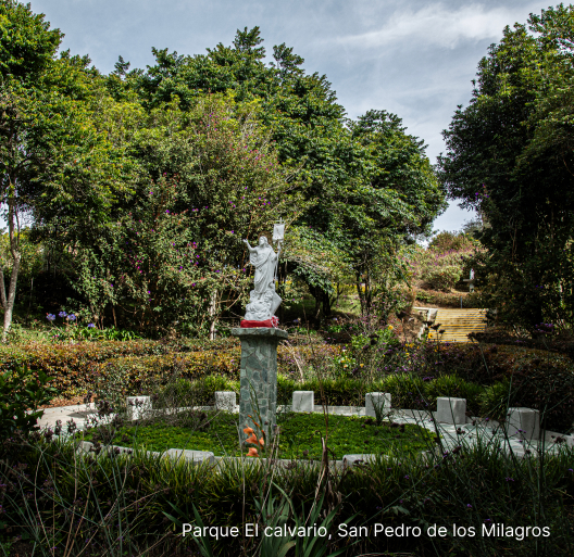 Imagen de Medellín – San Pedro de los Milagros