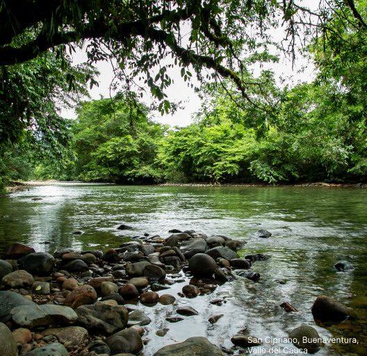 Imagen de La Cumbre — Buenaventura