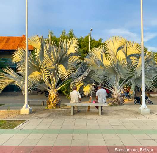 Imagen de Cartagena - Arjona - María la Baja