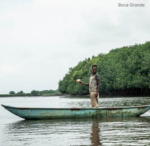 Imagen de RICAURTE — TUMACO