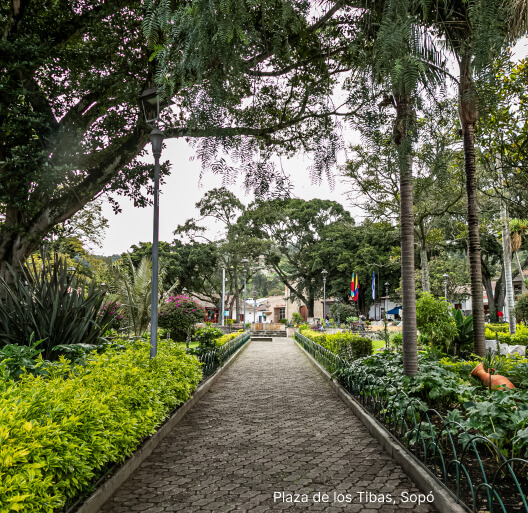 Imagen de VIA ZIPAQUIRÁ – SOPÓ