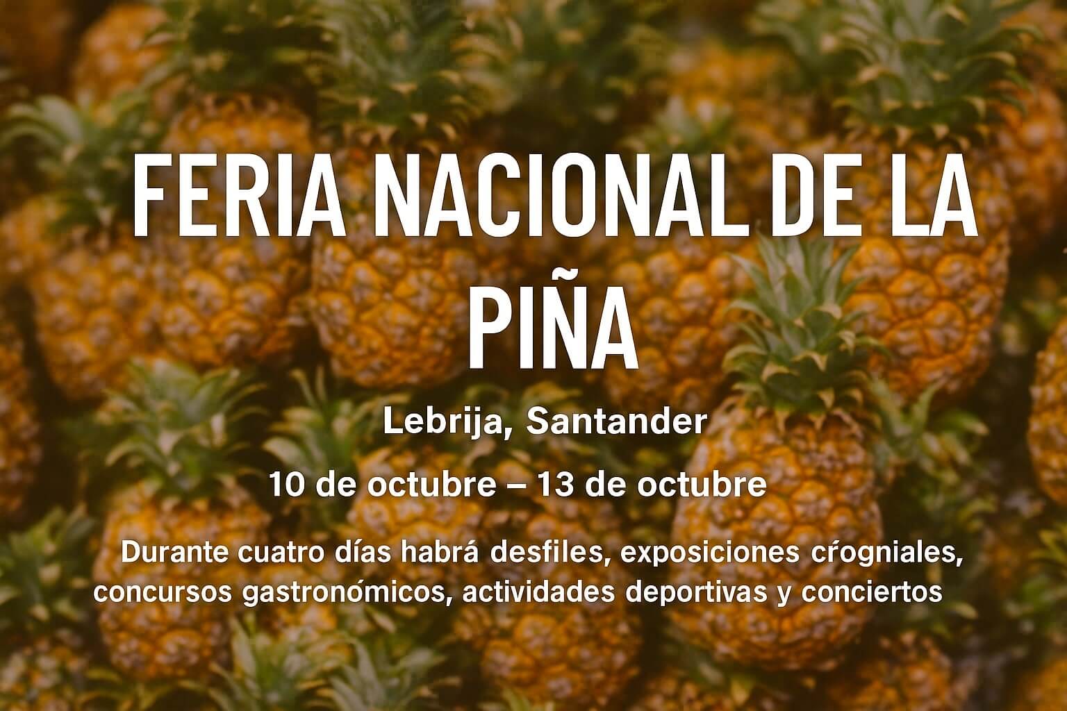 imagen de evento Feria Nacional de la Piña