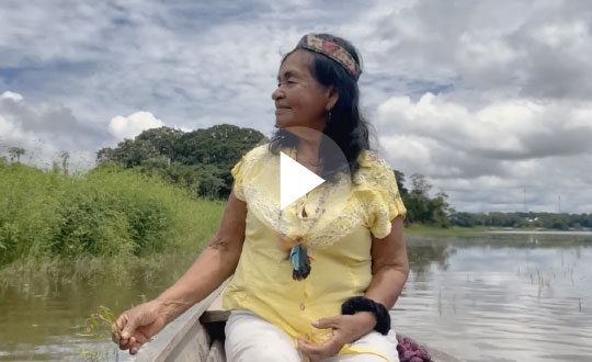 Portada video de Ruta Amazonas Ancestral