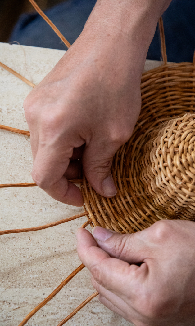 Imagen de Ruta Risaralda