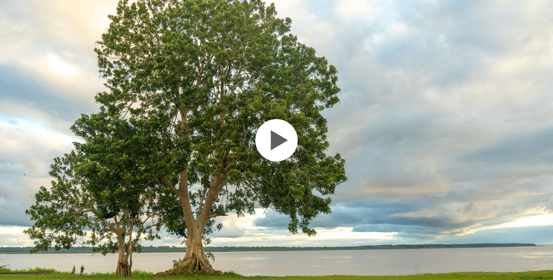 Portada de video de Ruta Amazonas Ancestral
